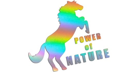 naklejka-power-of-nature-holografczna.jpg