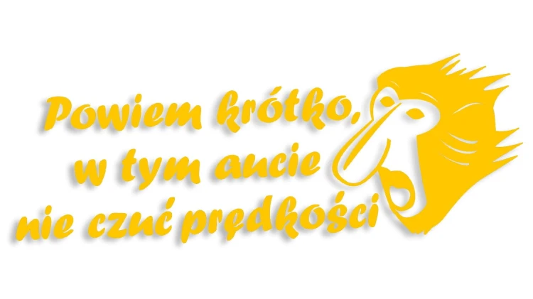 naklejka janusz nosacz powiem krotko w tym aucie nie czuc predkosci zolta.jpg