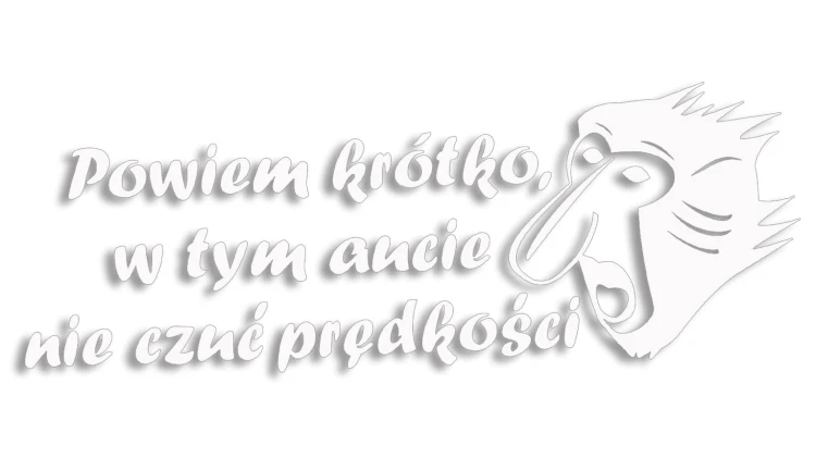 naklejka-janusz-nosacz-powiem-krotko-w-tym-aucie-nie-czuc-predkosci-biala.jpg