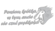 naklejka-janusz-nosacz-powiem-krotko-w-tym-aucie-nie-czuc-predkosci-jasny-szary.jpg