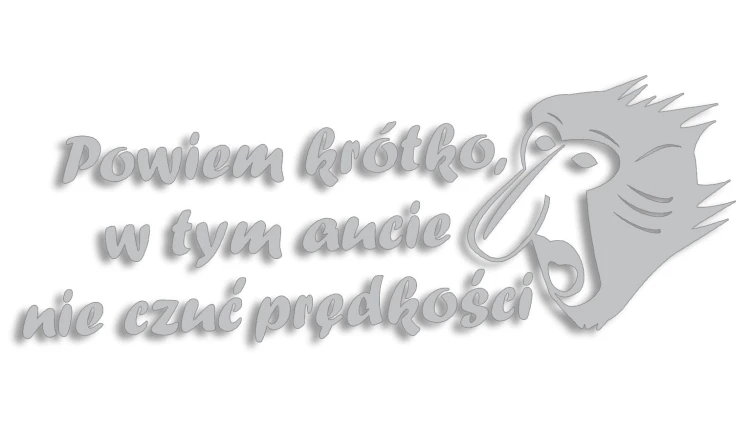naklejka-janusz-nosacz-powiem-krotko-w-tym-aucie-nie-czuc-predkosci-jasny-szary.jpg
