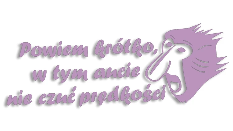 naklejka-janusz-nosacz-powiem-krotko-w-tym-aucie-nie-czuc-predkosci-liliowa.jpg