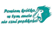 naklejka-janusz-nosacz-powiem-krotko-w-tym-aucie-nie-czuc-predkosci-turkusowa.jpg