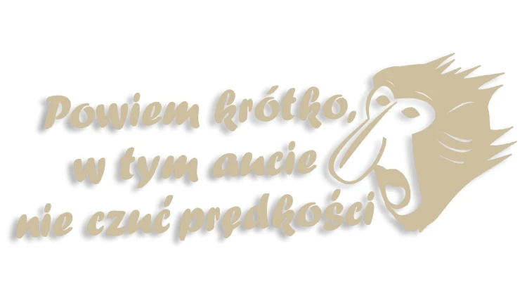 naklejka janusz nosacz powiem krotko w tym aucie nie czuc predkosci bezowa.jpg