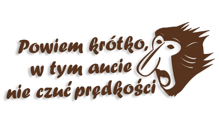 naklejka janusz nosacz powiem krotko w tym aucie nie czuc predkosci ciemny brazowy.jpg