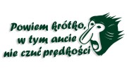 naklejka janusz nosacz powiem krotko w tym aucie nie czuc predkosci ciemny zielony.jpg