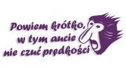naklejka janusz nosacz powiem krotko w tym aucie nie czuc predkosci fioletowa.jpg