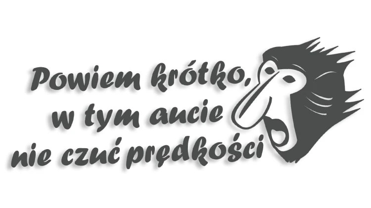 naklejka janusz nosacz powiem krotko w tym aucie nie czuc predkosci grafitowa.jpg
