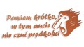 naklejka janusz nosacz powiem krotko w tym aucie nie czuc predkosci miedziana.jpg