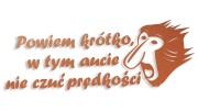 naklejka janusz nosacz powiem krotko w tym aucie nie czuc predkosci miedziana.jpg