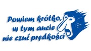 naklejka janusz nosacz powiem krotko w tym aucie nie czuc predkosci niebieska.jpg