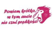 naklejka janusz nosacz powiem krotko w tym aucie nie czuc predkosci rozowa.jpg