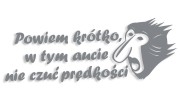 naklejka janusz nosacz powiem krotko w tym aucie nie czuc predkosci szara.jpg