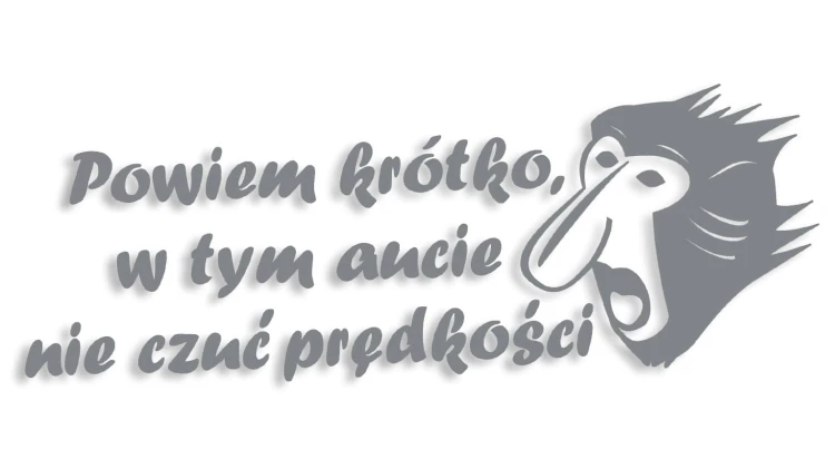 naklejka janusz nosacz powiem krotko w tym aucie nie czuc predkosci szara.jpg