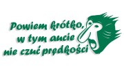 naklejka janusz nosacz powiem krotko w tym aucie nie czuc predkosci zielona.jpg