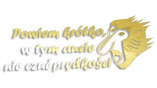 naklejka-janusz-nosacz-powiem-krotko-w-tym-aucie-nie-czuc-predkosci-zloty-chrom.jpg