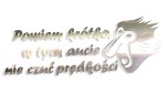 NOSACZ JANUSZ - POWIEM KRÓTKO, W TYM AUCIE NIE CZUĆ PRĘDKOŚCI - kolory - chrom
