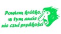 naklejka janusz nosacz powiem krotko w tym aucie nie czuc predkosci zielona neon.jpg