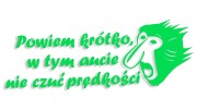 naklejka janusz nosacz powiem krotko w tym aucie nie czuc predkosci zielona neon.jpg