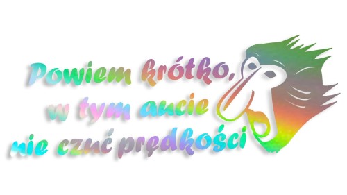 naklejka janusz nosacz powiem krotko w tym aucie nie czuc predkosci holograficzna.jpg