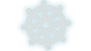 STER - MORZE - OCEAN - ŁÓDŹ - kolory odblaskowe