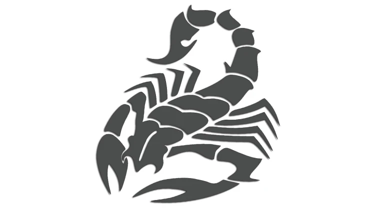 naklejka-skorpion-2-grafitowa.jpg