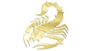 naklejka-skorpion-2-zloty-chrom.jpg