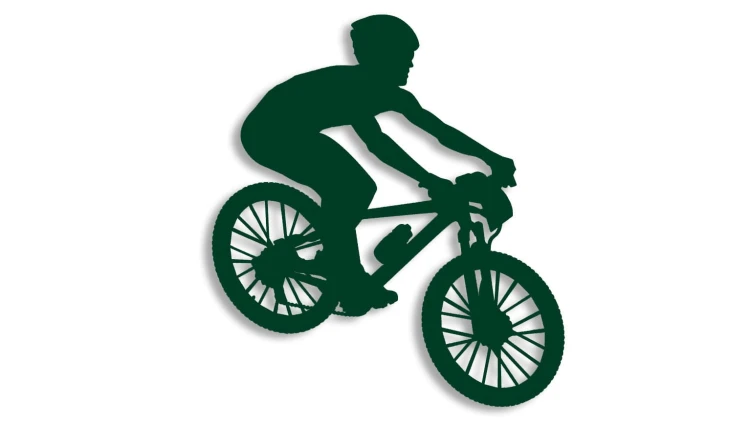 naklejka rower mtb 3 ciemny zielony.jpg