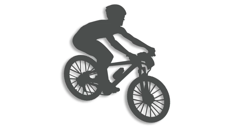 naklejka rower mtb 3 grafitowa.jpg