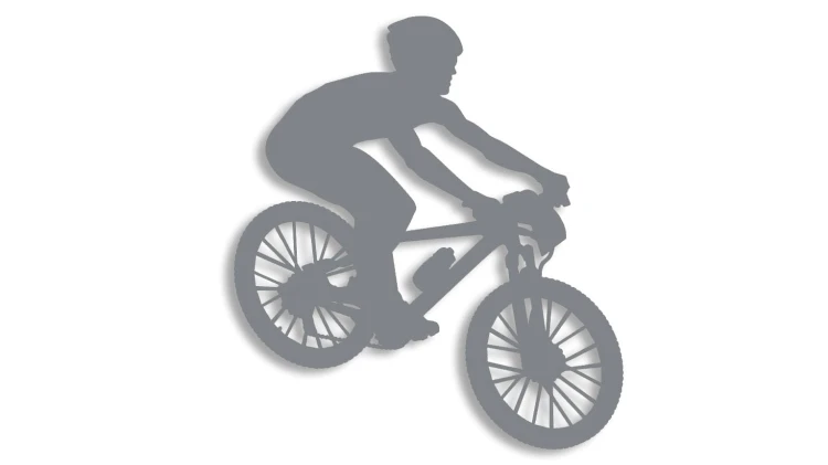naklejka rower mtb 3 szara.jpg