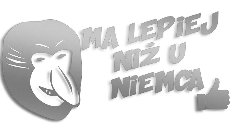 naklejka-janusz-nosacz-ma-lepiej-niz-u-niemca-srebrna.jpg