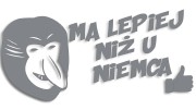 naklejka-janusz-nosacz-ma-lepiej-niz-u-niemca-szara.jpg