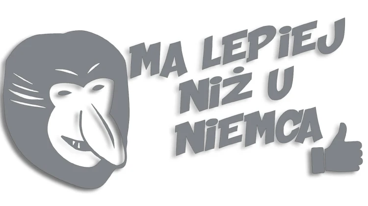 naklejka-janusz-nosacz-ma-lepiej-niz-u-niemca-szara.jpg