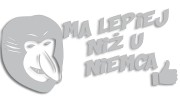 naklejka-janusz-nosacz-ma-lepiej-niz-u-niemca-jasny-szary.jpg