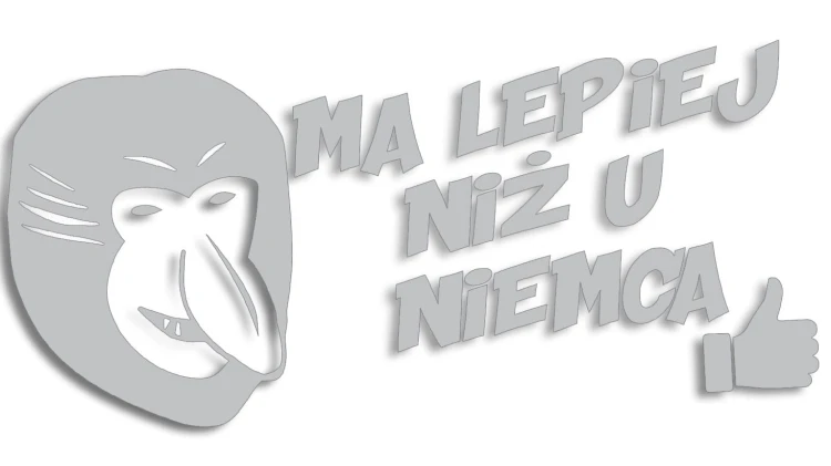 naklejka-janusz-nosacz-ma-lepiej-niz-u-niemca-jasny-szary.jpg