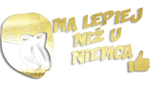 naklejka-janusz-nosacz-ma-lepiej-niz-u-niemca-zloty-chrom.jpg