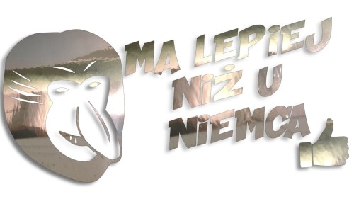 naklejka-janusz-nosacz-ma-lepiej-niz-u-niemca-chrom.jpg