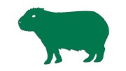 naklejka-kapibara-zielona.jpg