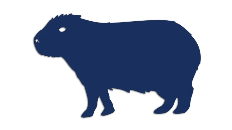 naklejka-kapibara-granatowa.jpg