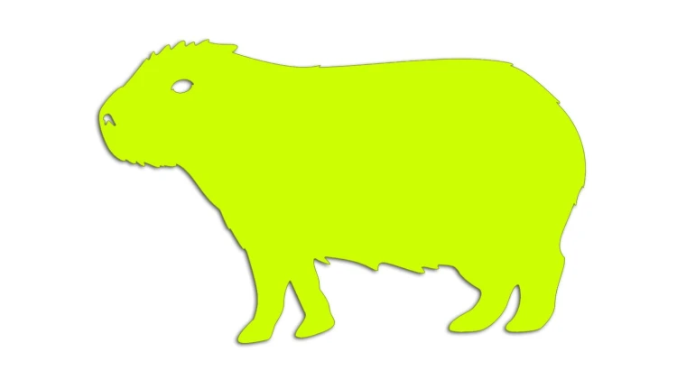 naklejka-kapibara-zolta-neon.jpg