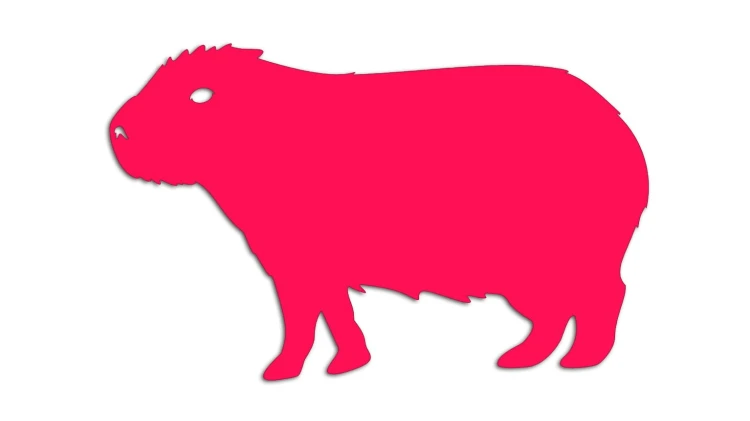 naklejka-kapibara-rozowa-neon.jpg