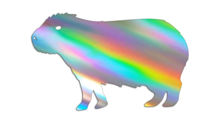 naklejka-kapibara-holograficzna.jpg