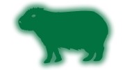 naklejka-kapibara-zielony-odblask.jpg