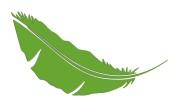 naklejka-pioro-piorko-jasny-zielony.jpg