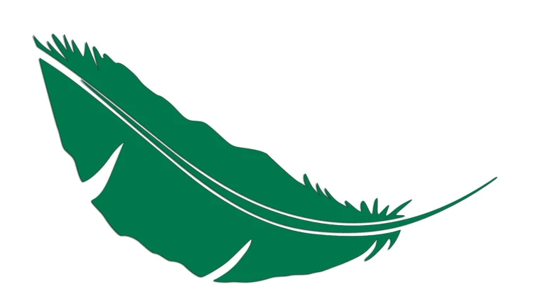 naklejka-pioro-piorko-zielona.jpg