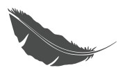 naklejka-pioro-piorko-grafitowa.jpg