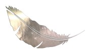 naklejka-pioro-piorko-chrom.jpg