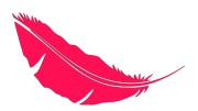 naklejka-pioro-piorko-rozowa-neon.jpg
