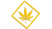 naklejka-marihuana-zolta.jpg