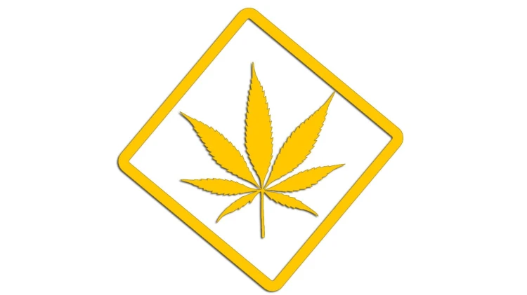 naklejka-marihuana-zolta.jpg